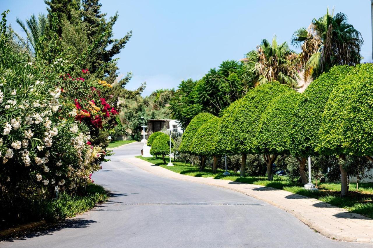 Vuni Palace Luxury Resort & Beach & Casino Κερύνεια Εξωτερικό φωτογραφία